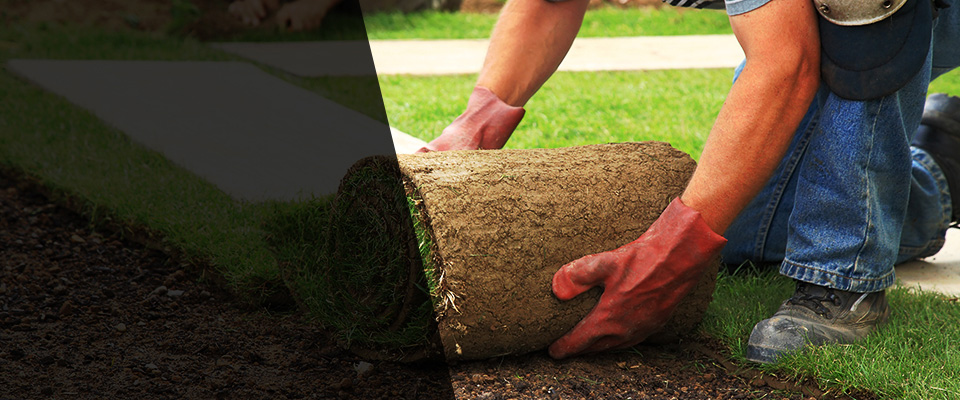 Rush Landscapers